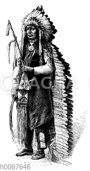 Graß. Mitglied der Indianer-Deputation in Washington.