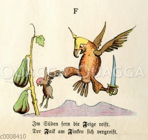 Naturgeschichtliches Alphabet für größere Kinder und solche