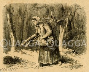 Frau beim Aufsammeln von Brennholz im Wald