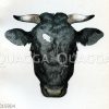 Oldenburger Stier