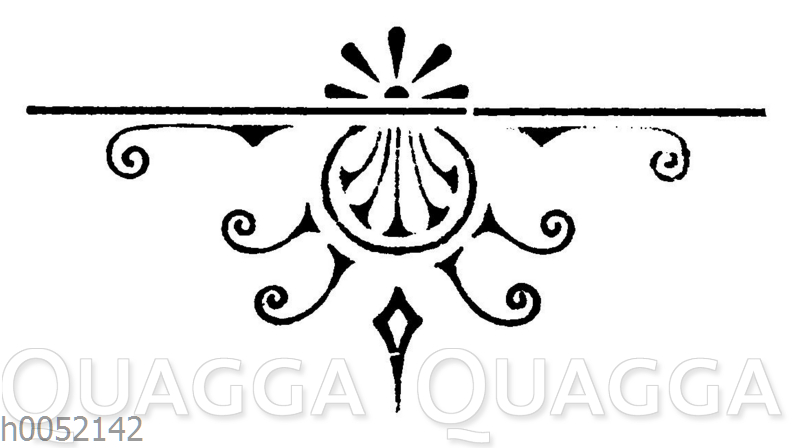 Quagga Illustrations
