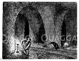 Champignon-Kultur in einem unterirdischen Gewölbe