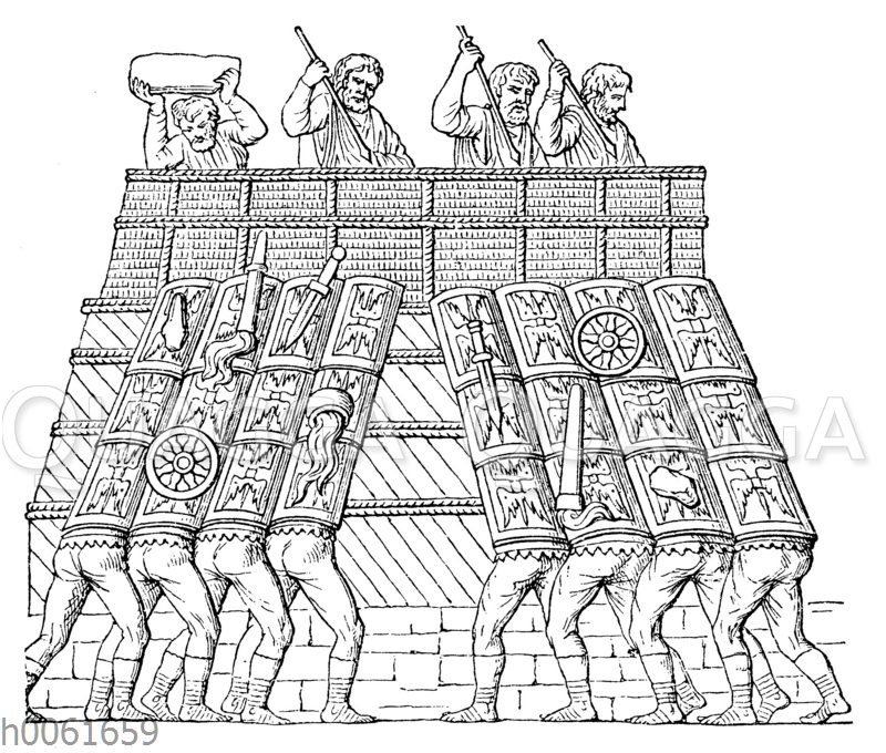 Schilddach (Testudo)