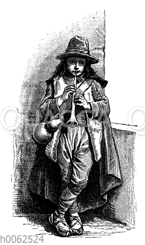 Pifferaro Quagga Illustrations