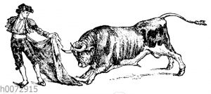 Torero mit Stier