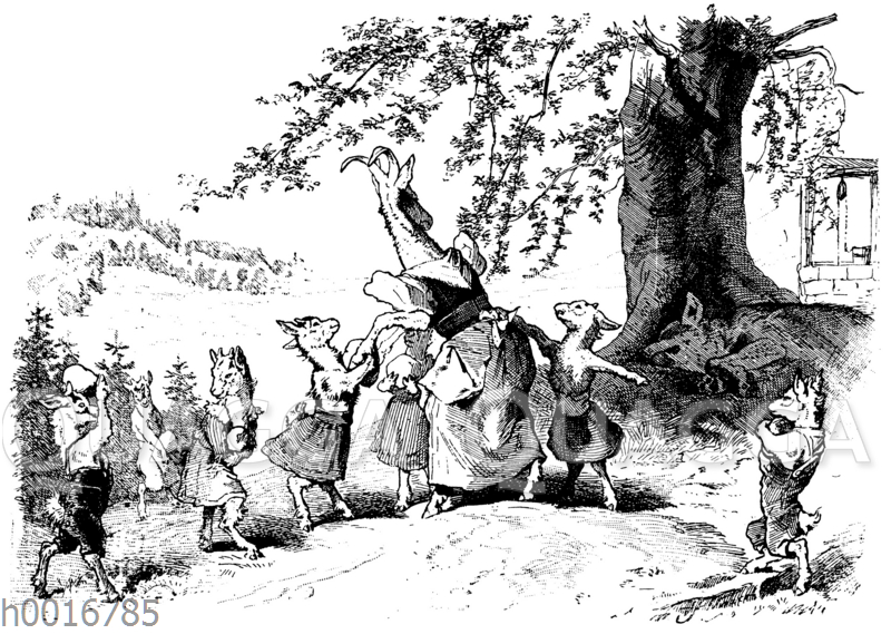 der wolf und die sieben jungen geißlein  quagga illustrations