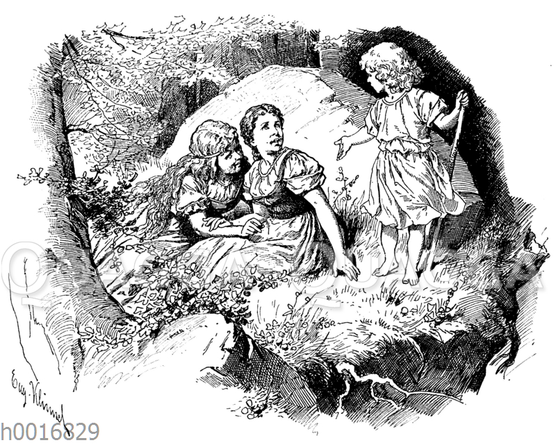 Schneeweißchen und Rosenrot - Quagga Illustrations