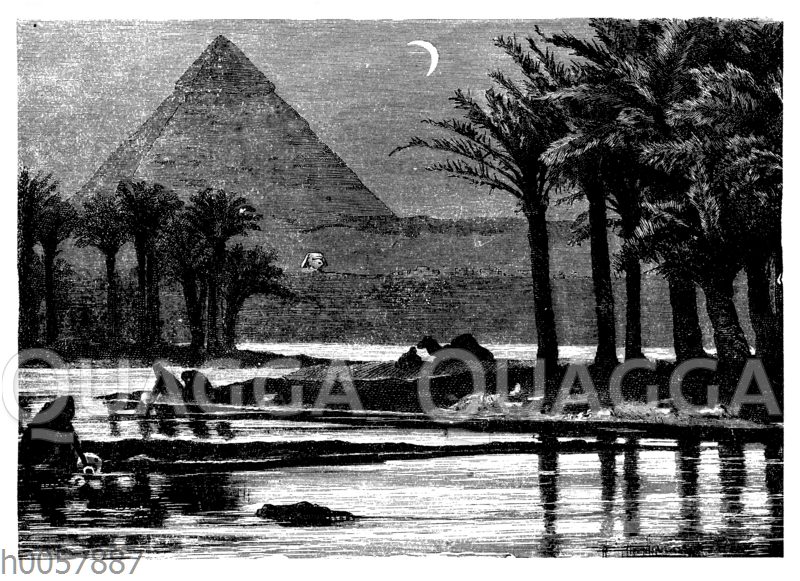 Cheops-Pyramide in Gizeh mit Palmen