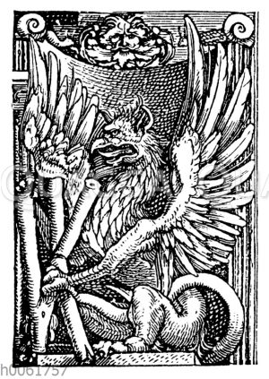 Drache