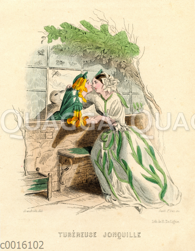 Tuberose und Jonquille
