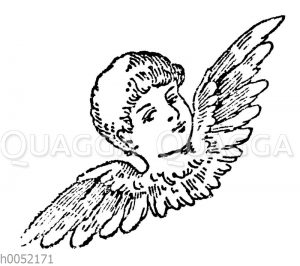Vignette: Engelskopf mit Flügeln