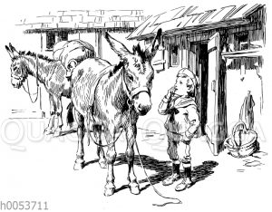 Junge im Matrosenanzug und zwei Esel
