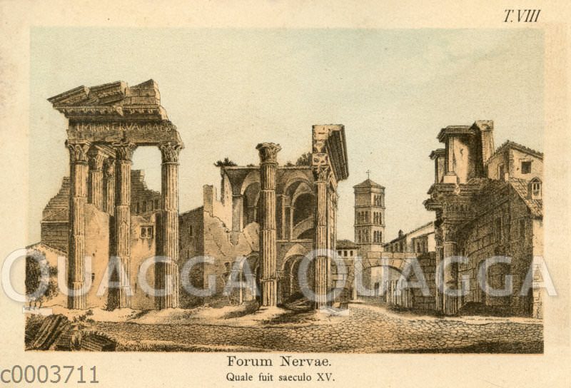 Forum Nervae