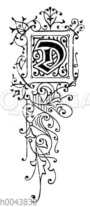 Buchstabe D