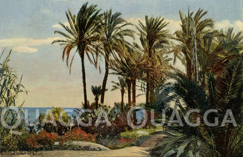 Italienische Landschaft mit Palmen