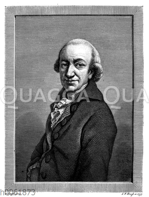 Wieland Quagga Illustrations