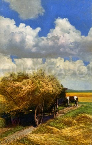 Mit Garben voll beladener Erntewagen