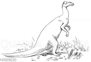 Iguanodon Mantelli - Kleinerer Iguanodon von Bernissart