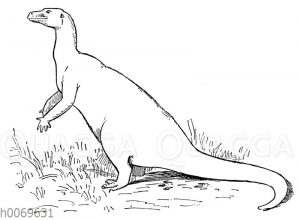 Iguanodon Bernissartensis - Großer Iguanodon von Bernissart in Belgien