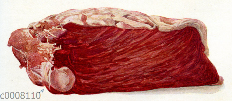 Rindleisch: Kluftstück (Querschwanz)