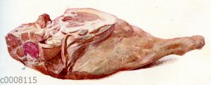 Fleisch: Kalbskeule