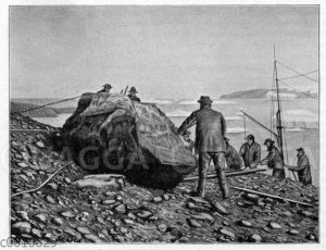 Großer Meteorit von Melville Bay in Nord-Grönland