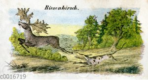 Riesenhirsch