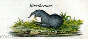 Dinotherium