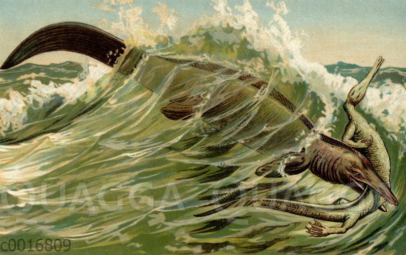 Tylosaurus Pelor