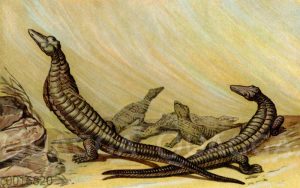 Panzerechse (Aetosaurus Ferratus)