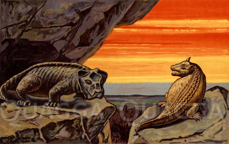 Doggenechse (Geikia Elginensis) Und Basiliskenechse (Sclerosaurus ...