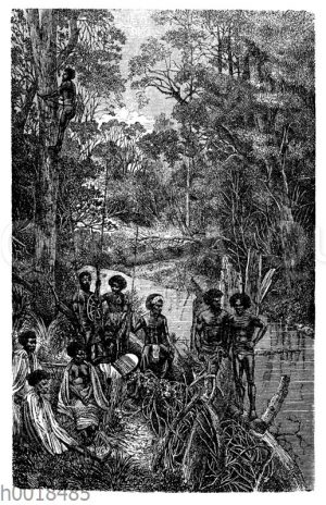Australische Ureinwohner erklettern einen Eukalyptus-Baum