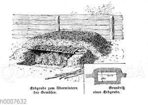 Erdgrube zum Überwintern von Gemüse