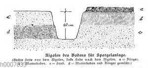 Rigolen des Bodens für eine Spargelanlage