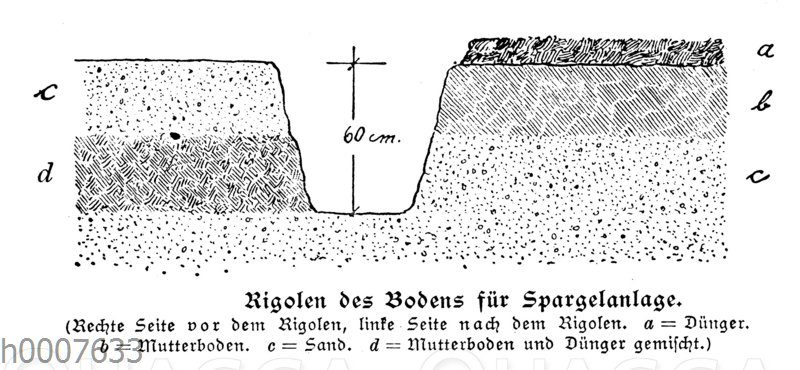 Rigolen des Bodens für eine Spargelanlage