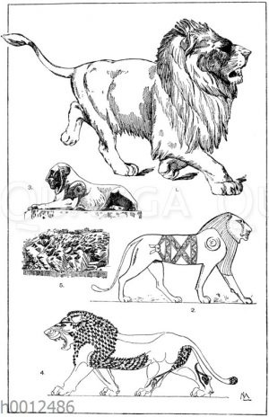 Löwenornamente