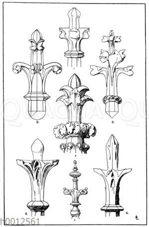 Kreuzblumen: 1. Einfache