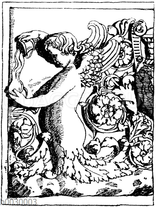 römisch - Bildschlagwort - Quagga Illustrations Bilddatenbank