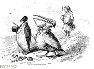 Pinguin und Pelikan in festlicher Kleidung