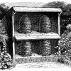 Bienenkörbe in einem Bienenhaus