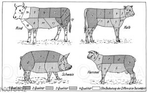 Fleisch und Fleischqualität von Rind