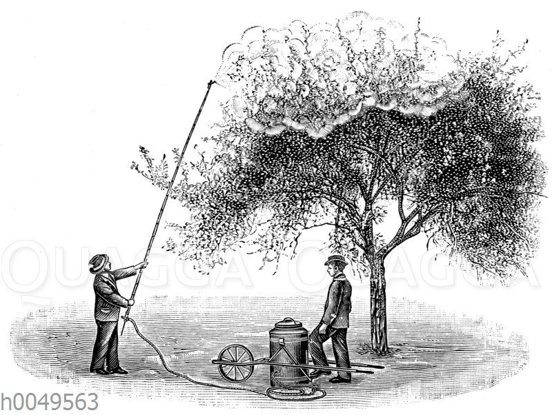 Kleine fahrbare Baumspritze