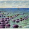 Madrepora-Korallen an der Küste von Australien