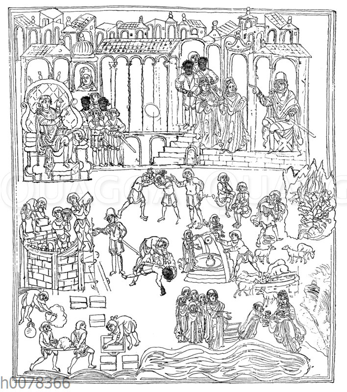 Geschichte Mosis Quagga Illustrations