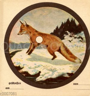 Schießscheibe: Fuchs