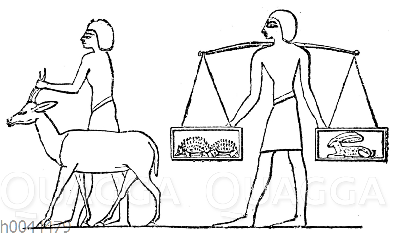 Heimbringen der Jagdbeute: Gazelle. Stachelschweine