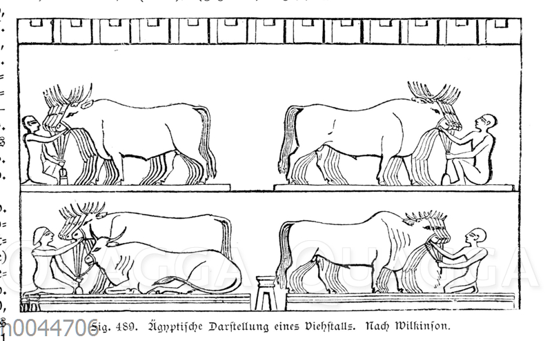 Ägyptische Darstellung eines Viehstalls
