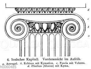 Ionisches Kapitell