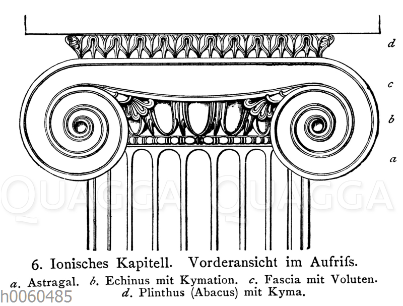Ionisches Kapitell