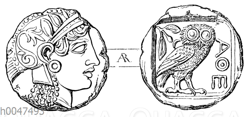 Tetradrachme von Athen Quagga Illustrations